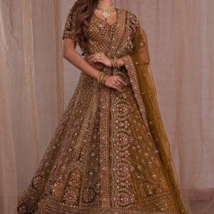 Premium Velvet Lehenga with Intricate Zariwork Embroidery